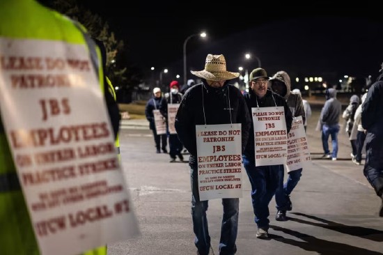  格里利工厂停摆警报拉响；牛肉供应链面临严峻考验。 新闻