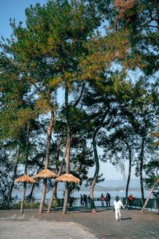  金融周报剖析：监管风暴来临，保险银行双轮驱动；业绩波动中寻机遇，人事调整促变革。 股票财经