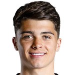  无数球迷热议：纽卡斯尔联如何锁定这颗冉冉升起的未来之星？ 体育新闻