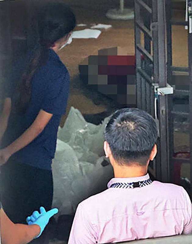  24公斤的终局：精英教育背后的生存危机真相 新闻