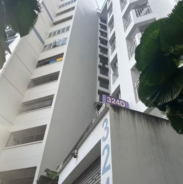  24公斤的终局：精英教育背后的生存危机真相 新闻