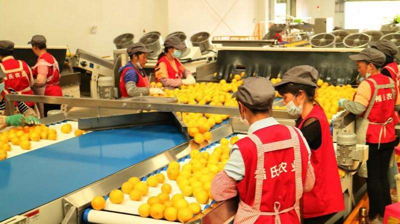  焦虑与博弈：欧盟-南共市协定的困局重构 新闻