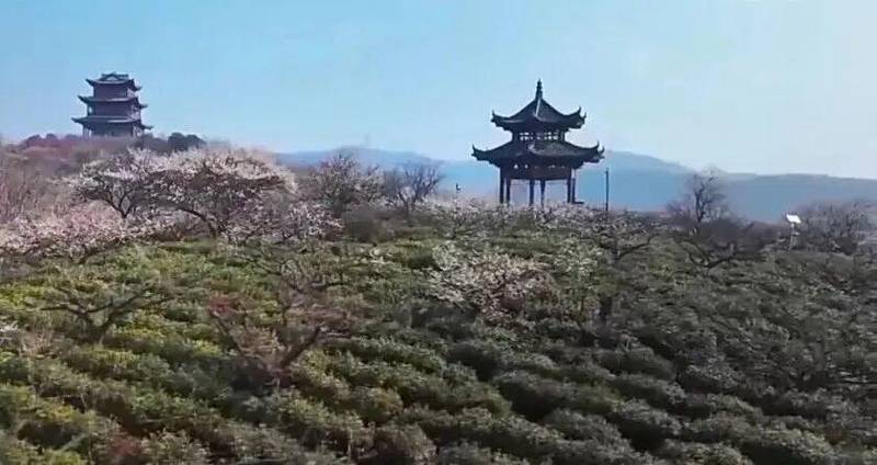  乡村微度假方案：绿色低碳出行，解锁小众秘境体验 文化旅游