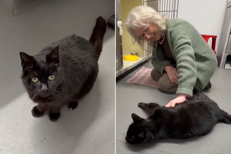  当奇迹降临：十二年后的重逢让她泪流满面 情感心理