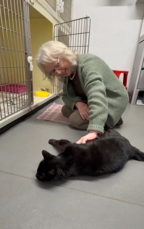  当奇迹降临：十二年后的重逢让她泪流满面 情感心理