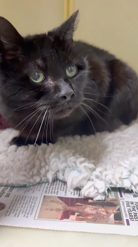  当奇迹降临：十二年后的重逢让她泪流满面 情感心理