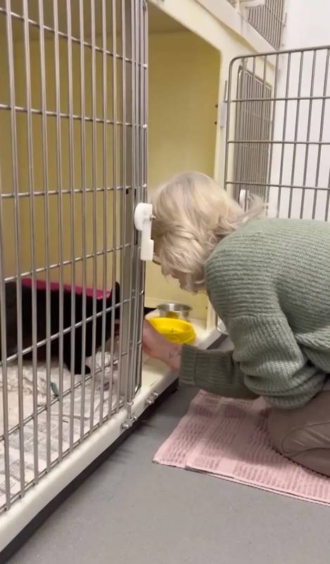  当奇迹降临：十二年后的重逢让她泪流满面 情感心理