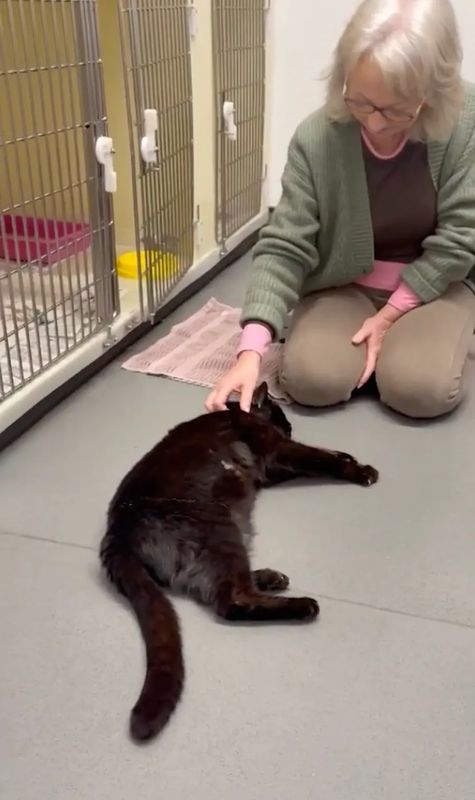  当奇迹降临：十二年后的重逢让她泪流满面 情感心理