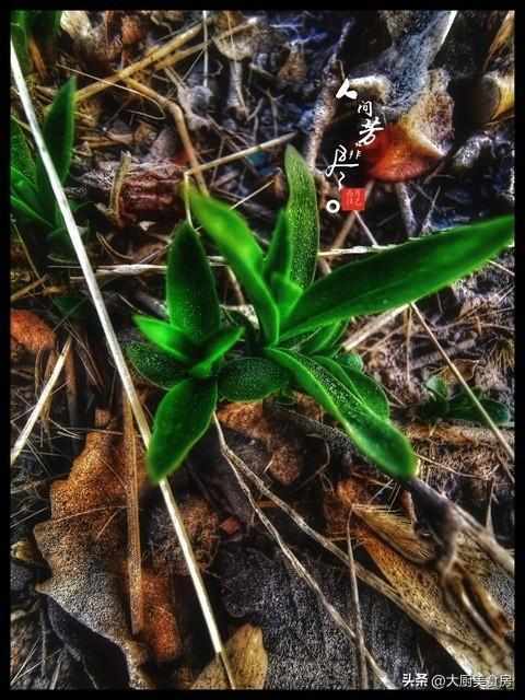  【节气解码】凌晨清明何以预兆连绵雨？千年农谚背后的气象逻辑与技术启示 文化旅游