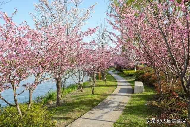  【节气解码】凌晨清明何以预兆连绵雨？千年农谚背后的气象逻辑与技术启示 文化旅游