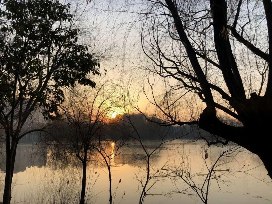  天文历法视角下的三月初一：月亮引力与五行废日的深层机制解析 文化旅游