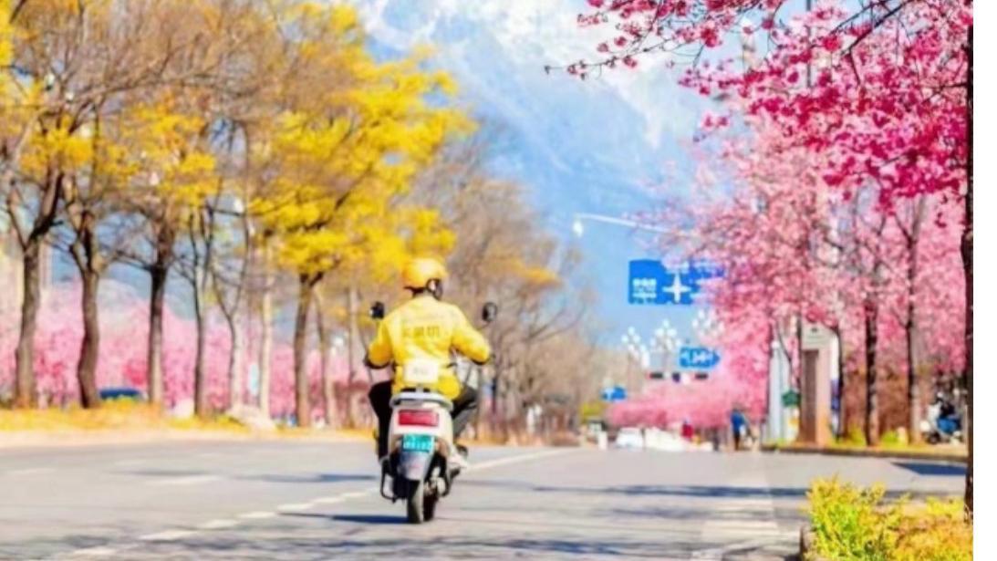  技术赋能下的文旅红包大战：数据拆解与趋势研判 新闻