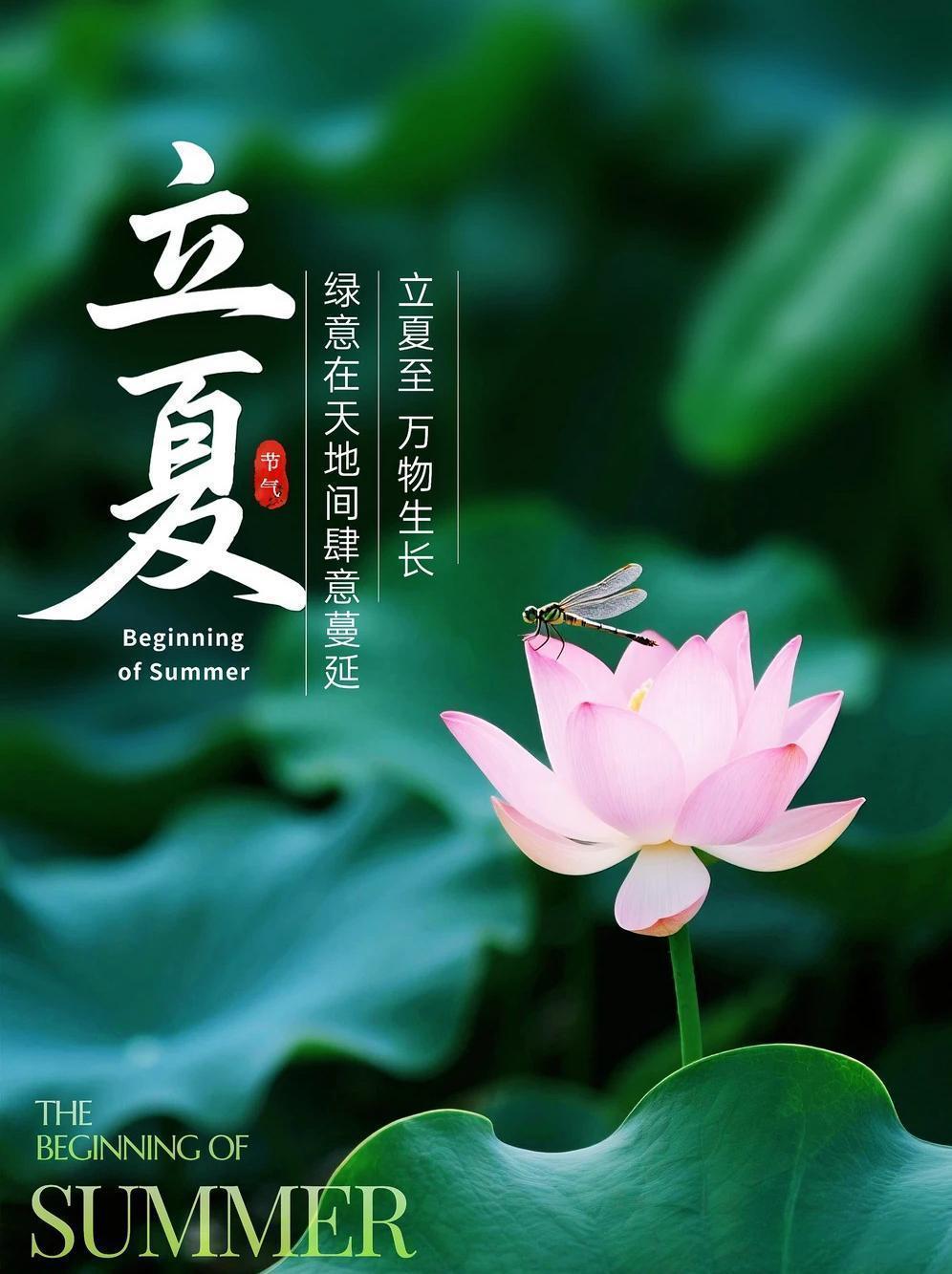  从天文学视角解码立夏时刻：2026年立夏19时48分的季候预兆 文化旅游