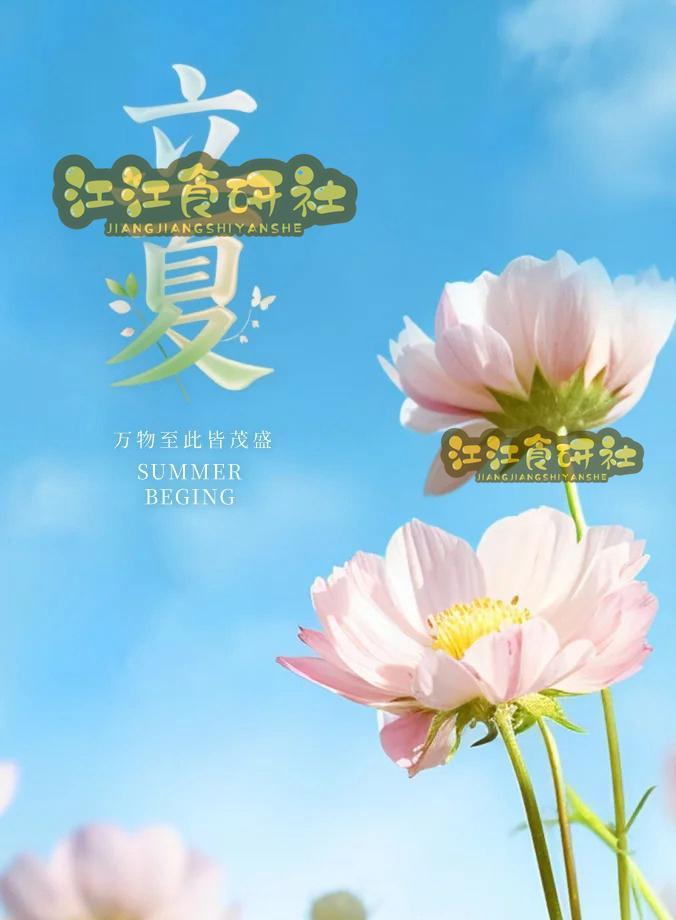  从天文学视角解码立夏时刻：2026年立夏19时48分的季候预兆 文化旅游