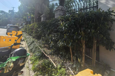  虹口老旧小区微更新：党建引领下的精细化治理实践与方法论 房产家居