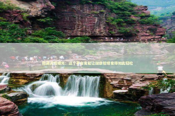 隐藏真相曝光：这个平台竟能让健康管理变得如此轻松 健康养生