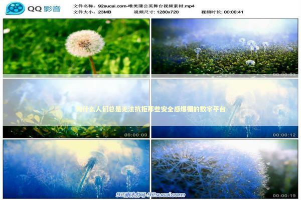 为什么人们总是无法抗拒那些安全感爆棚的数字平台