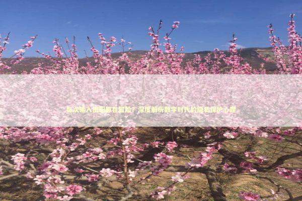 每次输入密码都在冒险？深度解析数字时代的隐私保护心理