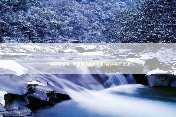 市场暗流涌动：高档奢侈品钱包背后的真实产业链 时尚用品