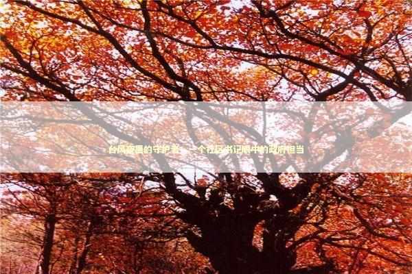 台风夜里的守护者：一个社区书记眼中的政府担当 新闻