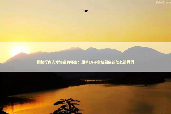 揭秘行内人才知道的秘密：原单LV手拿包到底该怎么辨真假