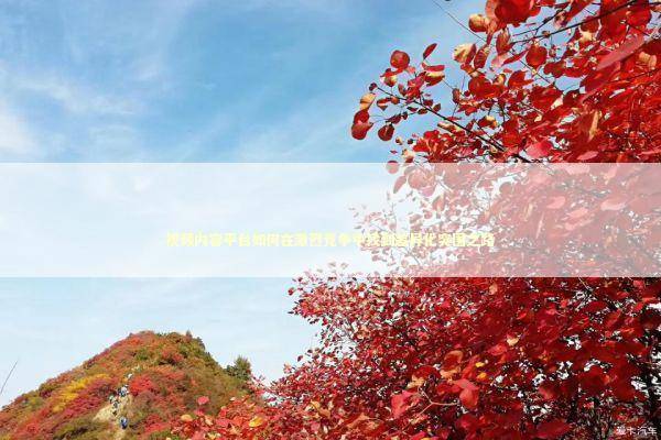 视频内容平台如何在激烈竞争中找到差异化突围之路 影视小说