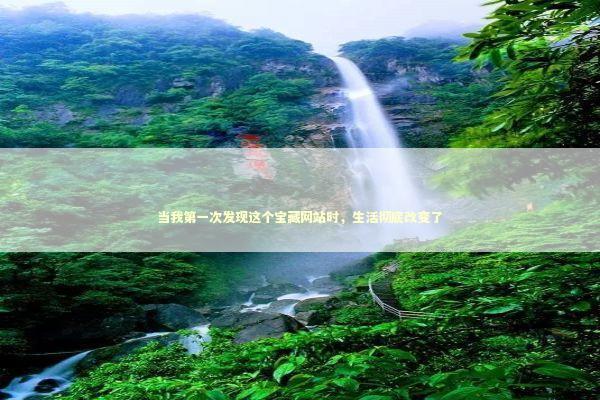 当我第一次发现这个宝藏网站时，生活彻底改变了 IT技术