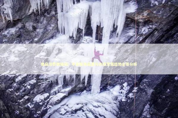 奢品消费新格局：平台服务品质与市场发展趋势全景分析