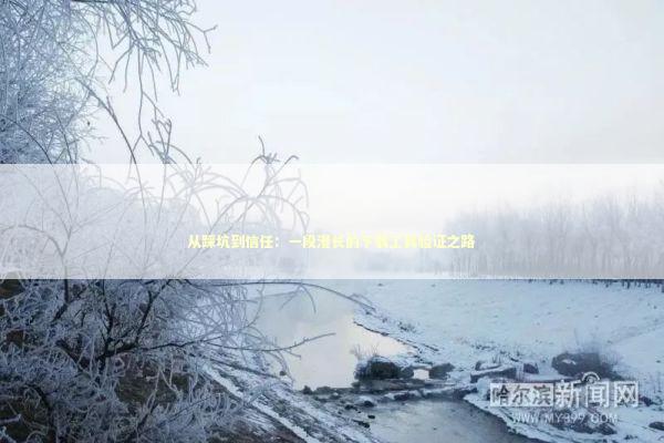 从踩坑到信任：一段漫长的下载工具验证之路 IT技术