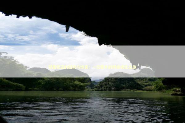 邻居老王的困扰与惊喜：一次意外的网络优化之旅 IT技术