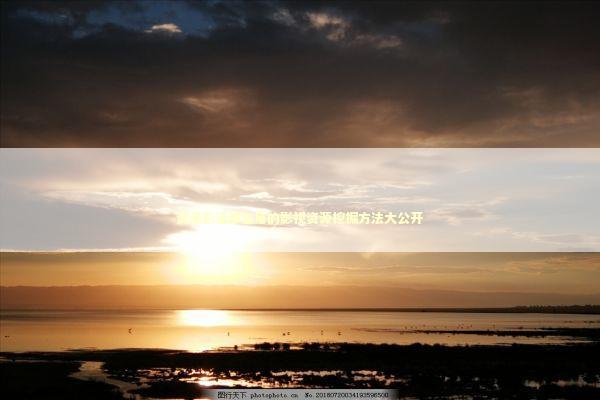 资深影迷都在用的影视资源挖掘方法大公开 娱乐新闻