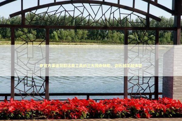 非官方渠道获取这类工具的三大致命缺陷，资历越深越清楚 IT技术