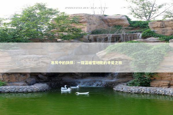 寒风中的抉择：一双温暖雪地靴的寻觅之旅 时尚用品